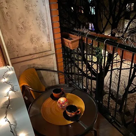 Bella * 베오그라드